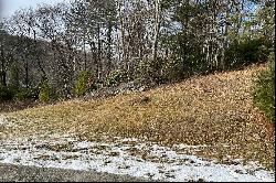 CRAIG FOREST - BLOWING ROCK