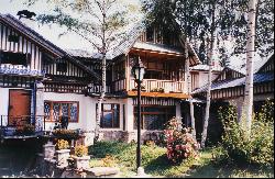 Villa with Birch Trees and Statues in Cheia Mountain Resort