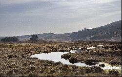 Sandside Hill, Reay, Thurso, Caithness, KW14 7RN