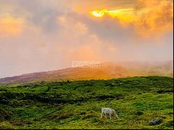 Azores Azores