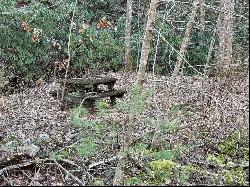 Lot 38 Brush Creek Mountain Road #38, Bryson City NC 28713