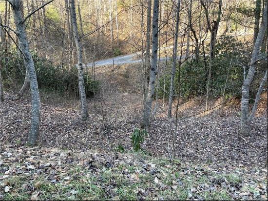 Lot 38 Brush Creek Mountain Road #38, Bryson City NC 28713