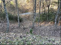 Lot 38 Brush Creek Mountain Road #38, Bryson City NC 28713