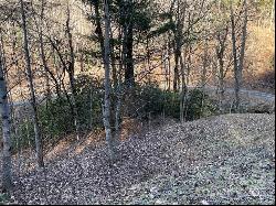 Lot 38 Brush Creek Mountain Road #38, Bryson City NC 28713