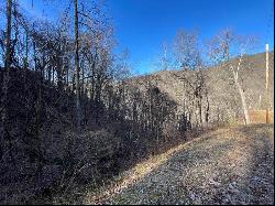 Lot 38 Brush Creek Mountain Rd, Bryson City NC 28713