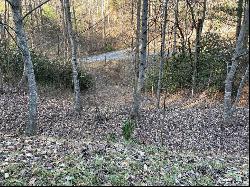 Lot 38 Brush Creek Mountain Rd, Bryson City NC 28713