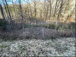 Lot 38 Brush Creek Mountain Rd, Bryson City NC 28713