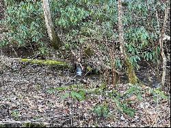 Lot 38 Brush Creek Mountain Rd, Bryson City NC 28713