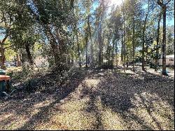 Tbd NW 15th Lane, Ocala FL 34482