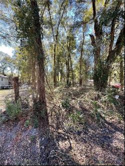 Tbd NW 15th Lane, Ocala FL 34482