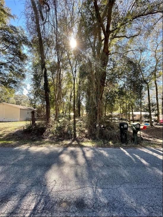 Tbd NW 15th Lane, Ocala FL 34482