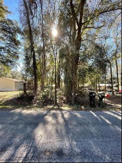 Tbd NW 15th Lane, Ocala FL 34482