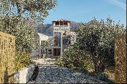 Villa Old Olive