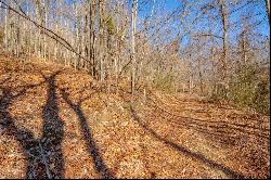 Lot 91 Reflections Point Trl, Fancy Gap VA 24328