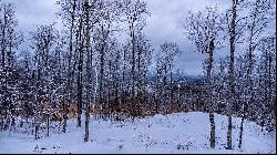 Lot 5 Hawk Ridge, Saranac Lake NY 12983