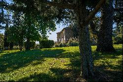 15th century medieval castle with gîtes, beautifully restored, 30 mn from Toulouse on 5 ha