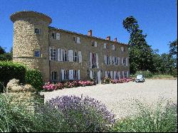 15th century medieval castle with gîtes, beautifully restored, 30 mn from Toulouse on 5 ha