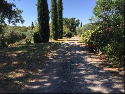 Bastide and cottage situated in an olive grove