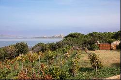 Casana Di Li Pini, wonderful villa surrounded by nature overlooking the sea