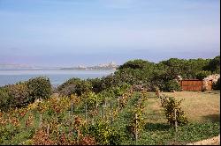 Casana Di Li Pini, wonderful villa surrounded by nature overlooking the sea