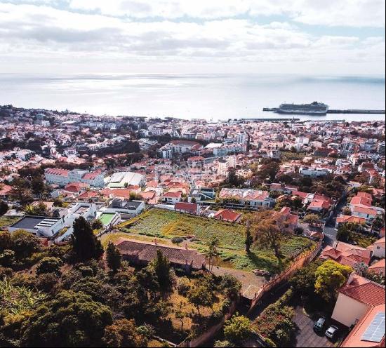 Funchal Madeira