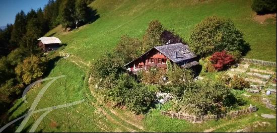 Charming Farmhouse on the heights of Rougemont with breath taking views