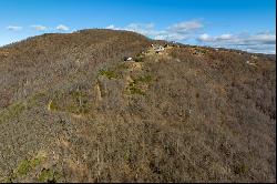 77 Acre Spring Pond Trl, Fancy Gap VA 24328