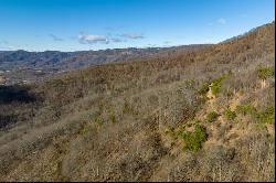 77 Acre Spring Pond Trl, Fancy Gap VA 24328