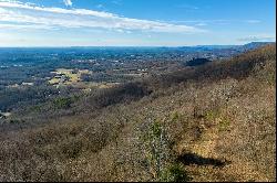 77 Acre Spring Pond Trl, Fancy Gap VA 24328