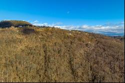 77 Acre Spring Pond Trl, Fancy Gap VA 24328