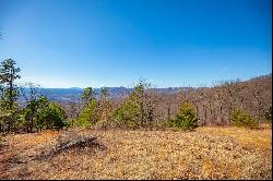 77 Acre Spring Pond Trl, Fancy Gap VA 24328