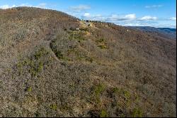 77 Acre Spring Pond Trl, Fancy Gap VA 24328