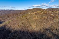 77 Acre Spring Pond Trl, Fancy Gap VA 24328