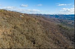 77 Acre Spring Pond Trl, Fancy Gap VA 24328