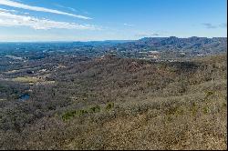 77 Acre Spring Pond Trl, Fancy Gap VA 24328