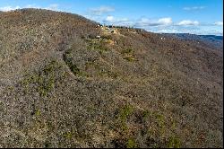 77 Acre Spring Pond Trl, Fancy Gap VA 24328