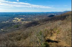 77 Acre Spring Pond Trl, Fancy Gap VA 24328