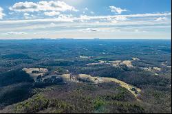 77 Acre Spring Pond Trl, Fancy Gap VA 24328