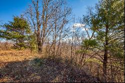 87 Acre Spring Pond Trl 30 Lots, Fancy Gap VA 24328