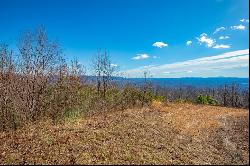 87 Acre Spring Pond Trl 30 Lots, Fancy Gap VA 24328