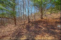 87 Acre Spring Pond Trl 30 Lots, Fancy Gap VA 24328