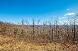 87 Acre Spring Pond Trl 30 Lots, Fancy Gap VA 24328