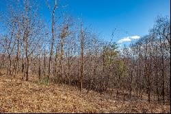 87 Acre Spring Pond Trl 30 Lots, Fancy Gap VA 24328