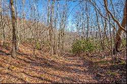 87 Acre Spring Pond Trl 30 Lots, Fancy Gap VA 24328