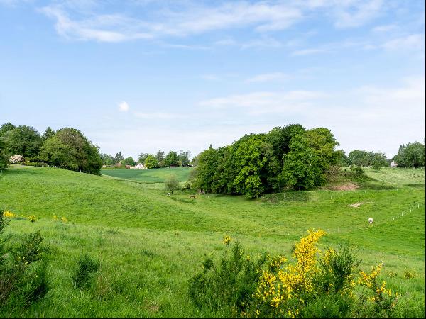 Walloon Brabant I Lasne