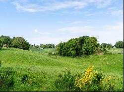 Walloon Brabant I Lasne