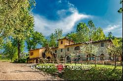 Tuscany - 21-HECTARE FARM WITH HOBBY VINEYARD FOR SALE IN CHIANTI