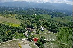 Tuscany - 21-HECTARE FARM WITH HOBBY VINEYARD FOR SALE IN CHIANTI