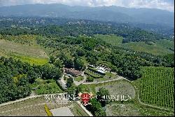 21-HECTARE FARM WITH HOBBY VINEYARD FOR SALE IN TUSCANY