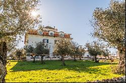 13 Bedroom Farm, Évora